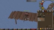 Acorns are easy to get here (Image via Jagex Ltd | YouTube/MrNoSleep OSRS)